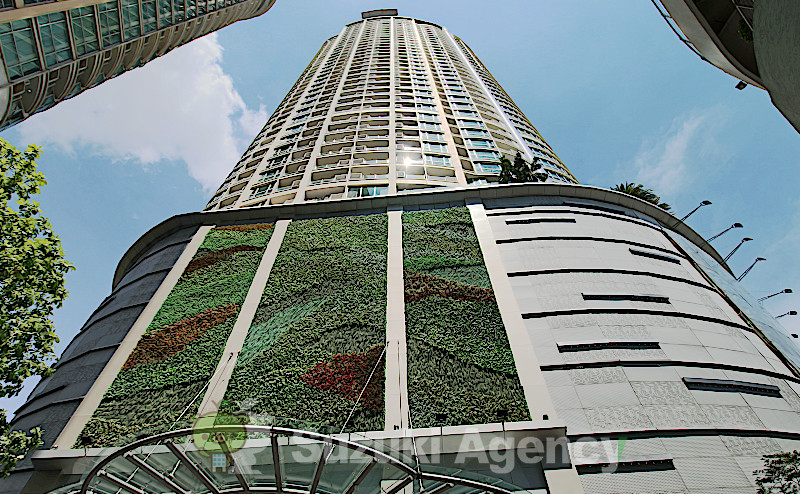 Sky Walk