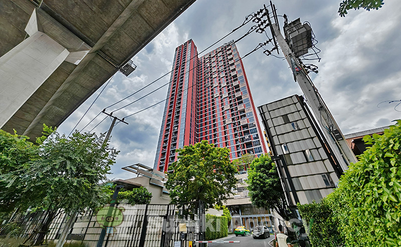 The BASE Garden Rama 9