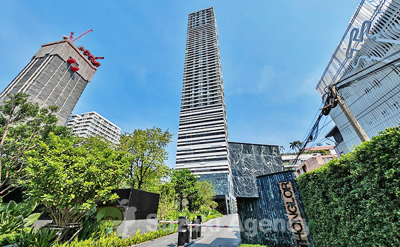 NOBLE FORM THONGLOR